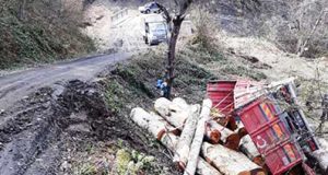 Ayancık: Tomruk Yüklü Kamyon Devrildi