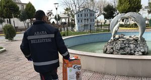 Abana Belediyesi‘nden SOKAK HAYVANLARINA YİYECEK