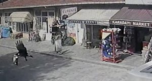 <center> Evrenye: </center><center><font color=’blue’> CiPS HIRSIZI KARGALAR! </font></center>