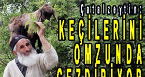 <center> Çatalzeytin: </center><center><font color=’blue’> KEÇİLERİNİ OMZUNDA GEZDİRİYOR </font></center>