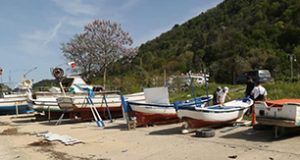 <center> Teknesi Olanlara  </center><center><font color=’blue’> BAKIM İZNİ </font></center>