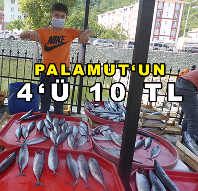 PALAMUT‘UN 4‘Ü 10 TL