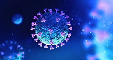 <center> Kastamonu‘da Koronovirüs: </center><center><font color=’blue’> HASTANELER DOLMAK ÜZERE </font></center>