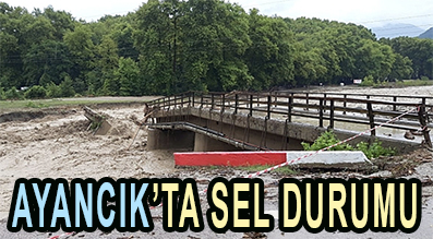 AYANCIK’TA SEL DURUMU
