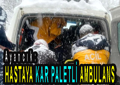 <center> Ayancık: </center><center><font color=’blue’> HASTAYA KAR PALETLİ AMBULANS  </font></center>