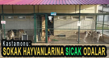 <center> Kastamonu: </center><center><font color=’blue’> SOKAK HAYVANLARINA SICAK ODALAR </font></center>