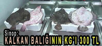 <center> Sinop: </center><center><font color=’blue’> KALKAN BALIĞININ KG’I 300 TL </font></center>