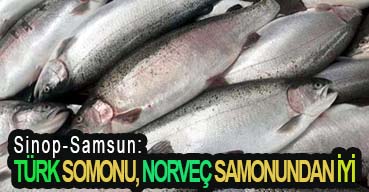 <center> Sinop-Samsun: </center><center><font color=’blue’> TÜRK SOMONU, NORVEÇ SAMONUNDAN İYİ </font></center>