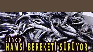 <center> Sinop: </center><center><font color=’blue’> HAMSİ BEREKETİ SÜRÜYOR </font></center>