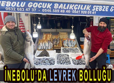 İNEBOLU’DA LEVREK BOLLUĞU
