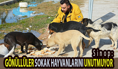 <center> Sinop: </center><center><font color=’blue’> GÖNÜLLÜLER SOKAK HAYVANLARINI UNUTMUYOR </font></center>