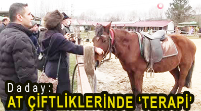 <center> Daday:  </center><center><font color=’blue’> AT ÇİFTLİKLERİNDE ‘TERAPİ’ </font></center>