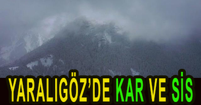 YARALIGÖZ’DE KAR VE SİS