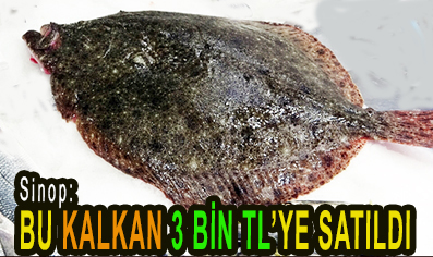 <center> Sinop: </center><center><font color=’blue’> BU KALKAN 3 BİN TL’YE SATILDI </font></center>