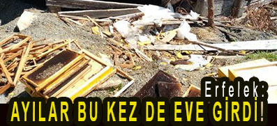 <center> Erfelek: </center><center><font color=’blue’> AYILAR BU KEZ DE EVE GİRDİ! </font></center>
