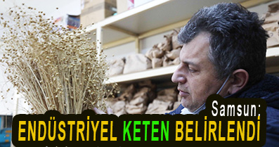 <center> Samsun: </center><center><font color=’blue’> ENDÜSTRİYEL KETEN BELİRLENDİ </font></center>