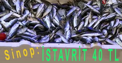 <center> Sinop: </center><center><font color=’blue’> İSTAVRİT 40 TL </font></center>