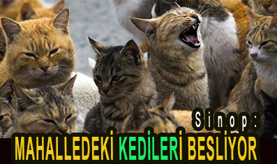 <center> Sinop: </center><center><font color=’blue’> MAHALLEDEKİ KEDİLERİ BESLİYOR        </font></center>