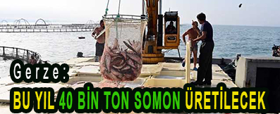 <center> Gerze: </center><center><font color=’blue’> BU YIL 40 BİN TON SOMON ÜRETİLECEK </font></center>
