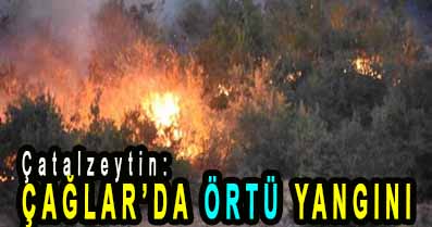 <center> Çatalzeytin: </center><center><font color=’blue’> ÇAĞLAR’DA ÖRTÜ YANGINI  </font></center>