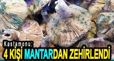 <center> Kastamonu: </center><center><font color=’blue’>4 KİŞİ MANTARDAN ZEHİRLENDİ </font></center>