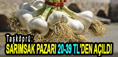 <center> Taşköprü: </center><center><font color=’blue’> SARIMSAK PAZARI 20-39 TL’DEN AÇILDI </font></center>