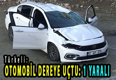 <center> Türkeli: </center><center><font color=’blue’> OTOMOBİL DEREYE UÇTU: 1 YARALI </font></center>