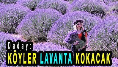 <center> Daday: </center><center><font color=’blue’> KÖYLER LAVANTA KOKACAK </font></center>