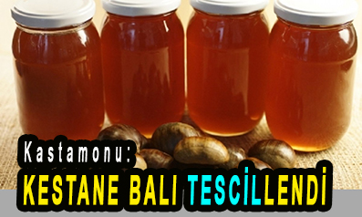 <center> Kastamonu: </center><center><font color=’blue’> KESTANE BALI TESCİLLENDİ </font></center>