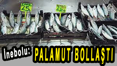 <center> İnebolu: </center><center><font color=’blue’> PALAMUT BOLLAŞTI </font></center>