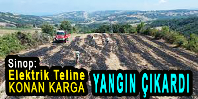 <center> Sinop: </center><center><font color=’blue’> Elektrik Teline KONAN KARGA YANGIN ÇIKARDI </font></center>