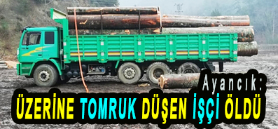 <center> Ayancık: </center><center><font color=’blue’> ÜZERİNE TOMRUK DÜŞEN İŞÇİ ÖLDÜ </font></center>