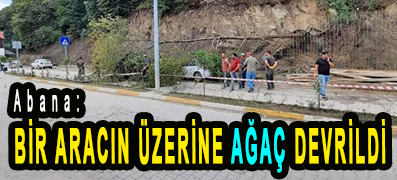 <center> Abana:</center><center><font color=’blue’> BİR ARACIN ÜZERİNE AĞAÇ DEVRİLDİ </font></center>