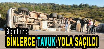 <center> Bartın: </center><center><font color=’blue’> BİNLERCE TAVUK YOLA SAÇILDI </font></center>