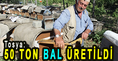 <center> Tosya: </center><center><font color=’blue’>50 TON BAL ÜRETİLDİ </font></center>