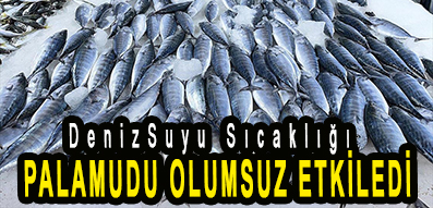 <center> DenizSuyu Sıcaklığı  </center><center><font color=’blue’> PALAMUDU OLUMSUZ ETKİLEDİ </font></center>