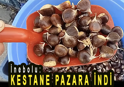 <center> İnebolu: </center><center><font color=’blue’> KESTANE PAZARA İNDİ </font></center>