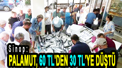 <center> Sinop: </center><center><font color=’blue’> PALAMUT, 60 TL’DEN 30 TL’YE DÜŞTÜ </font></center>