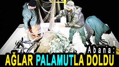 <center> Abana: </center><center><font color=’blue’> AĞLAR PALAMUTLA DOLDU </font></center>