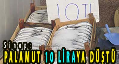 <center> Sinop: </center><center><font color=’blue’> PALAMUT 10 LİRAYA DÜŞTÜ </font></center>