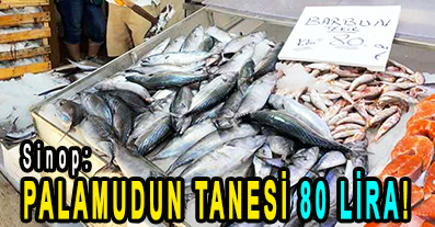 <center> Sinop: </center><center><font color=’blue’> PALAMUDUN TANESİ 80 LİRA! </font></center>