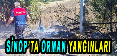 SİNOP’TA ORMAN YANGINLARI