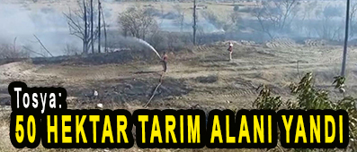 <center> Tosya: </center><center><font color=’blue’>50 HEKTAR TARIM ALANI YANDI </font></center>