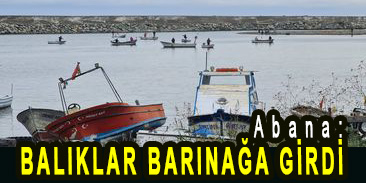 <center> Abana: </center><center><font color=’blue’> BALIKLAR BARINAĞA GİRDİ! </font></center>