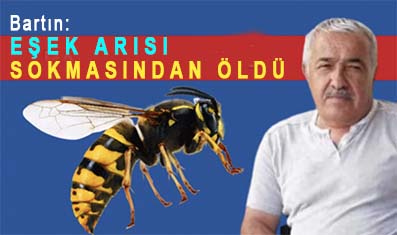 <center> Bartın: </center><center><font color=’blue’> EŞEK ARISI SOKMASINDAN ÖLDÜ </font></center>
