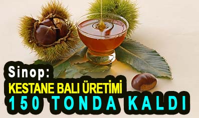 <center> Sinop: </center><center><font color=’blue’> KESTANE BALI ÜRETİMİ 150 TONDA KALDI </font></center>