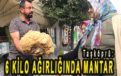 <center> Taşköprü: </center><center><font color=’blue’>6 KİLO AĞIRLIĞINDA MANTAR </font></center>