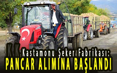 <CENTER> Kastamonu Şeker Fabrikası: </CENTER><CENTER><font color=’blue’> PANCAR ALIMINA BAŞLANDI </font></center>