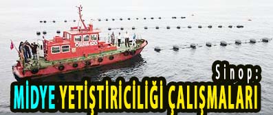 <center> Sinop: </center><center><font color=’blue’> MİDYE YETİŞTİRİCİLİĞİ ÇALIŞMALARI </font></center>