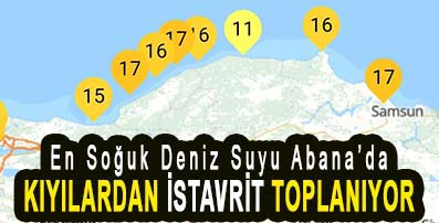 <center> En Soğuk Deniz Suyu Abana’da </center><center><font color=’blue’> KIYILARDAN İSTAVRİT TOPLANIYOR </font></center>